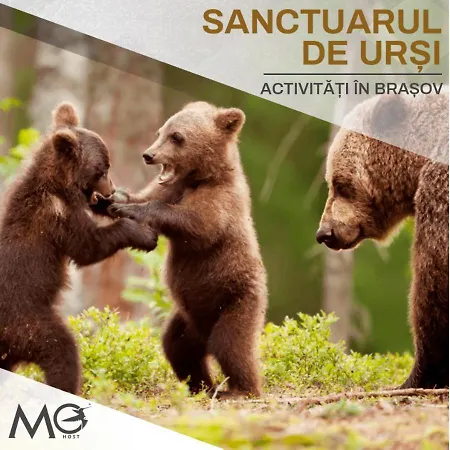 Appartamento Mohost Four - Elegant Mountain Escape *